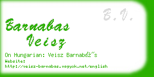 barnabas veisz business card